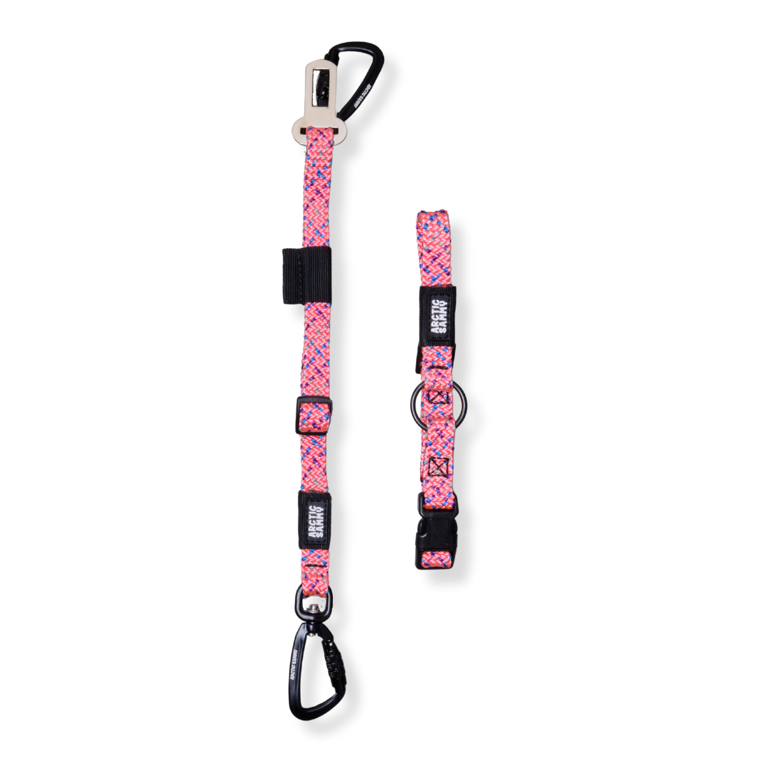 Walk r cise outlet harness medium