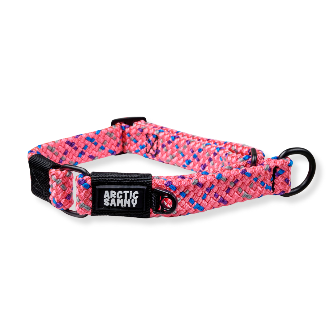 Kong martingale collar hotsell