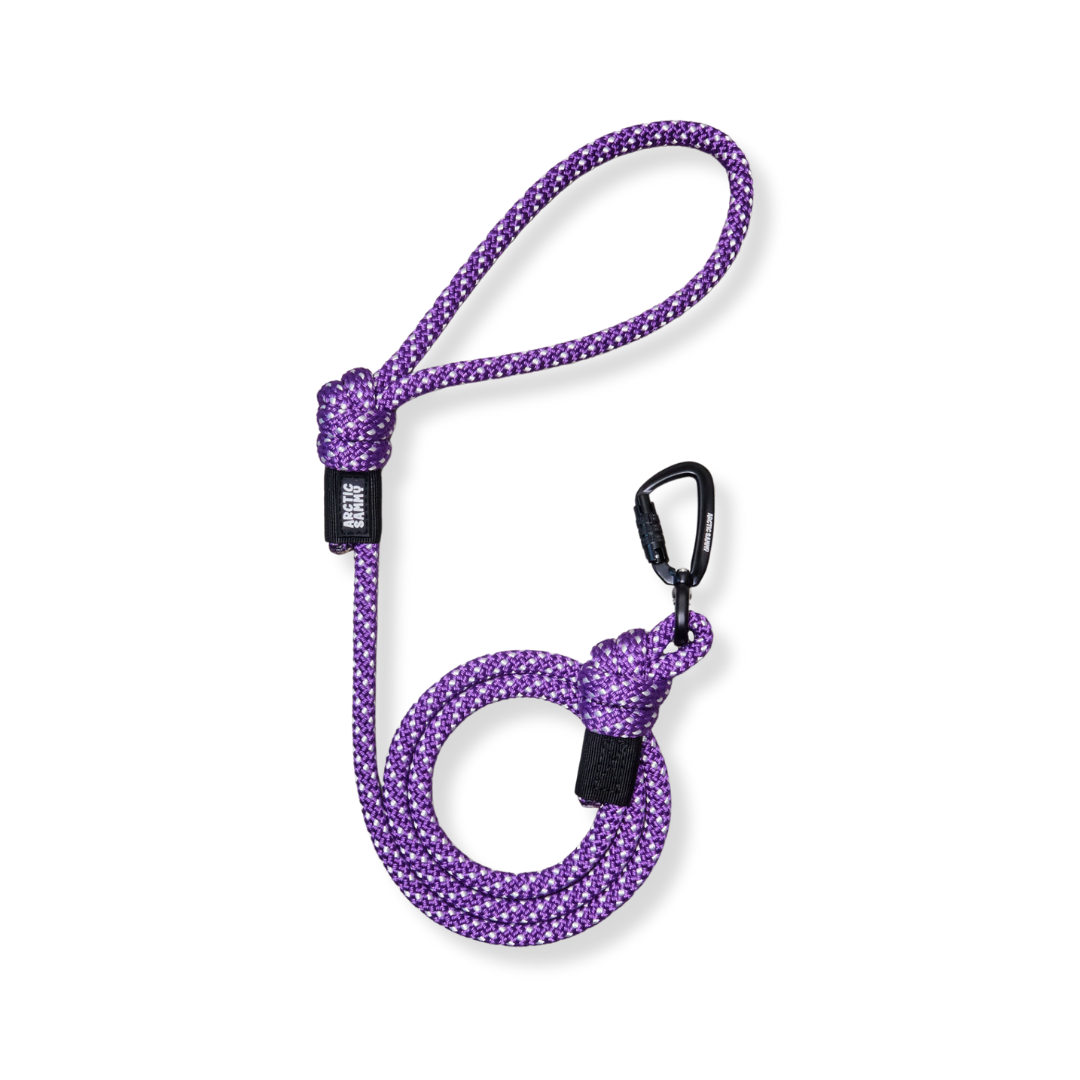 Rope dog discount lead nz