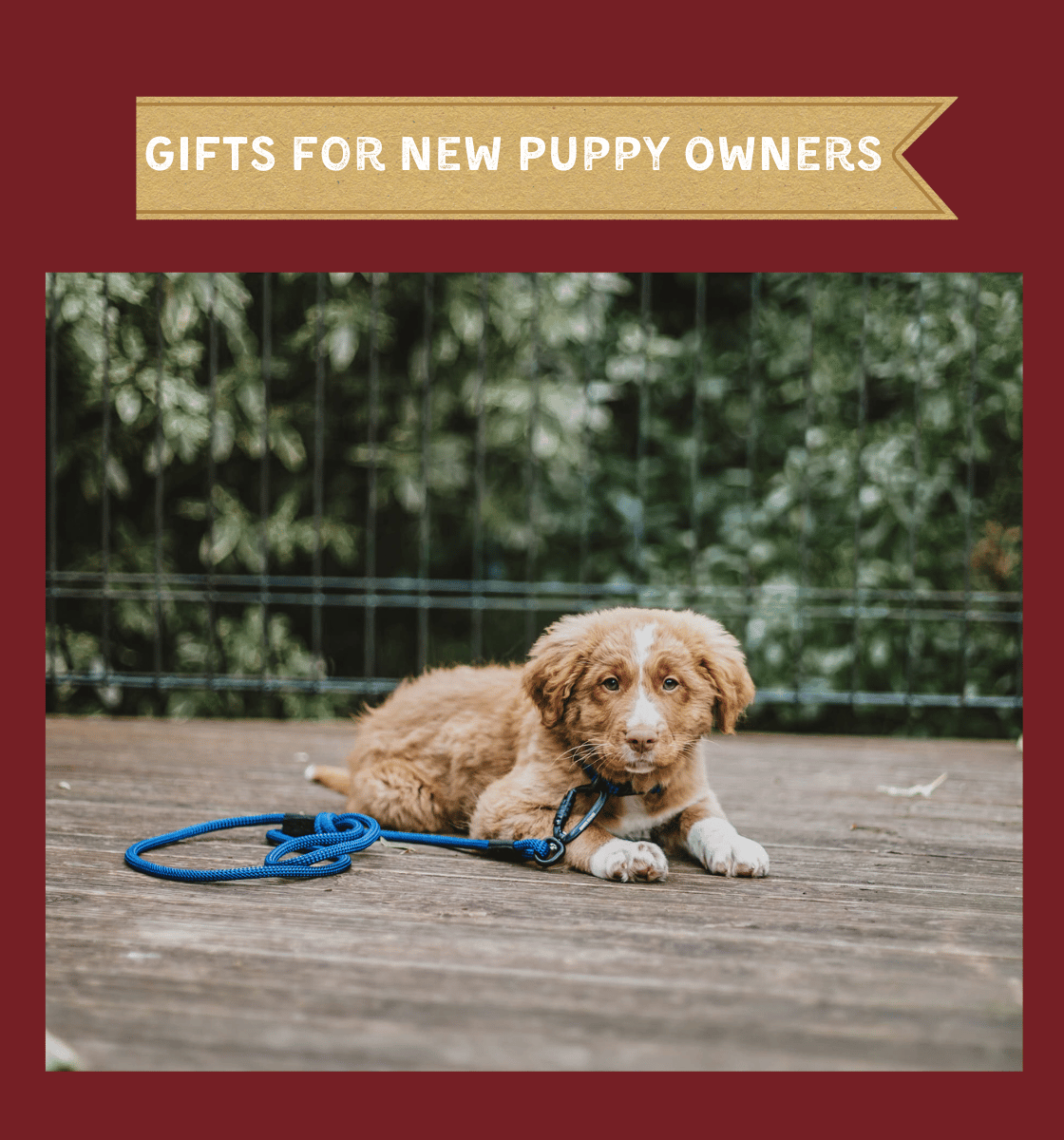 GIFTS FOR NEW PUPPY OWNERS