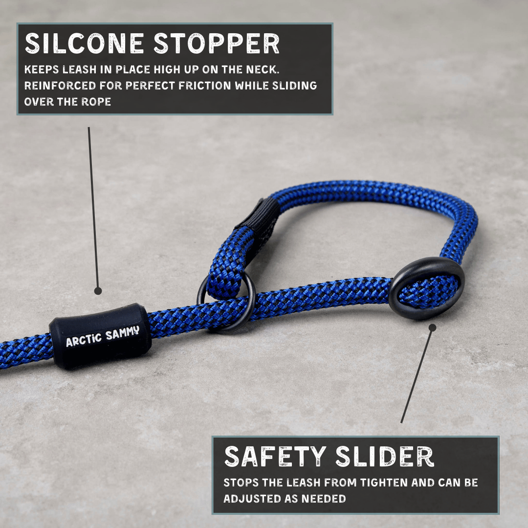 Benmore Dog Slip Leash