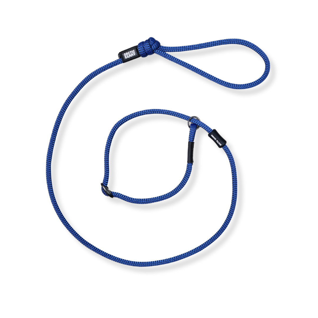 Benmore Dog Slip Leash