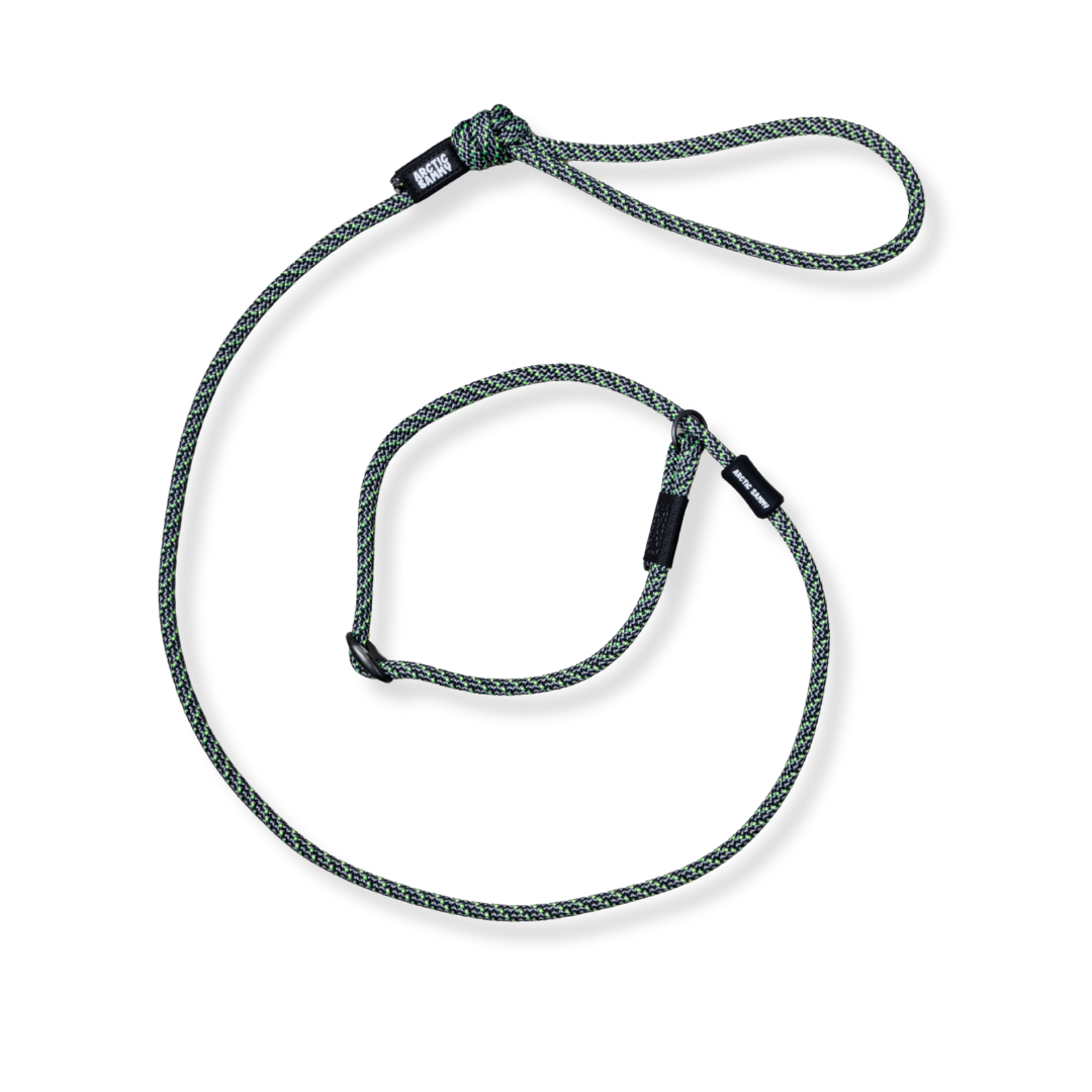 Craigieburn Dog Slip Leash