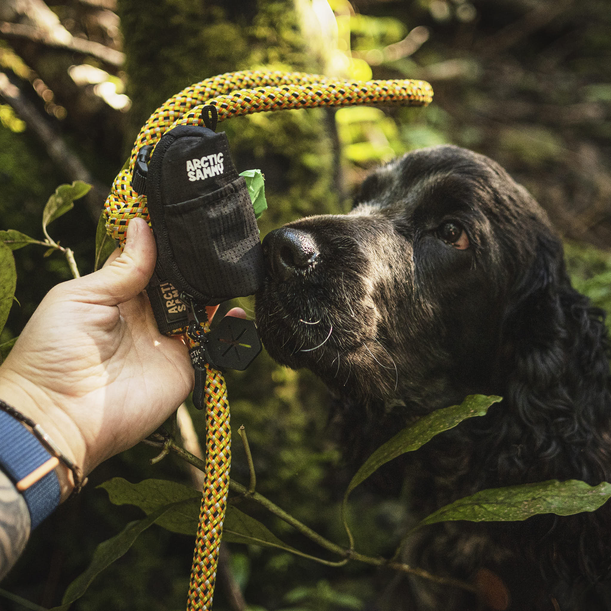 Dog Poop Bag Holder