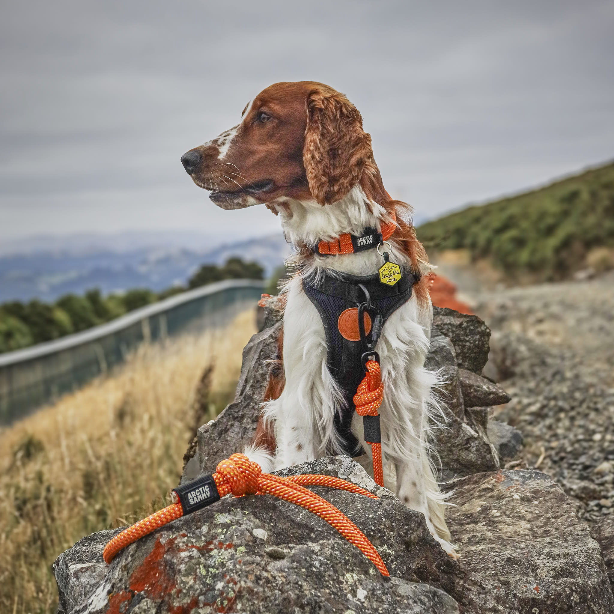 Hawea Rope Dog Leash