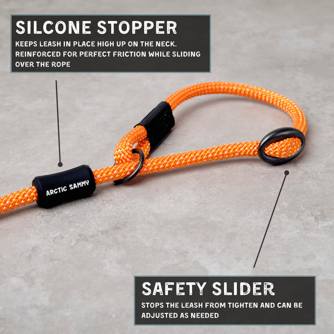 Hawea Dog Slip Leash