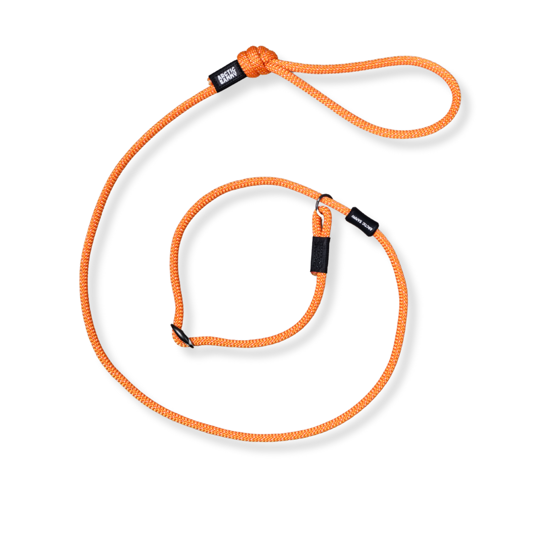 Hawea Dog Slip Leash