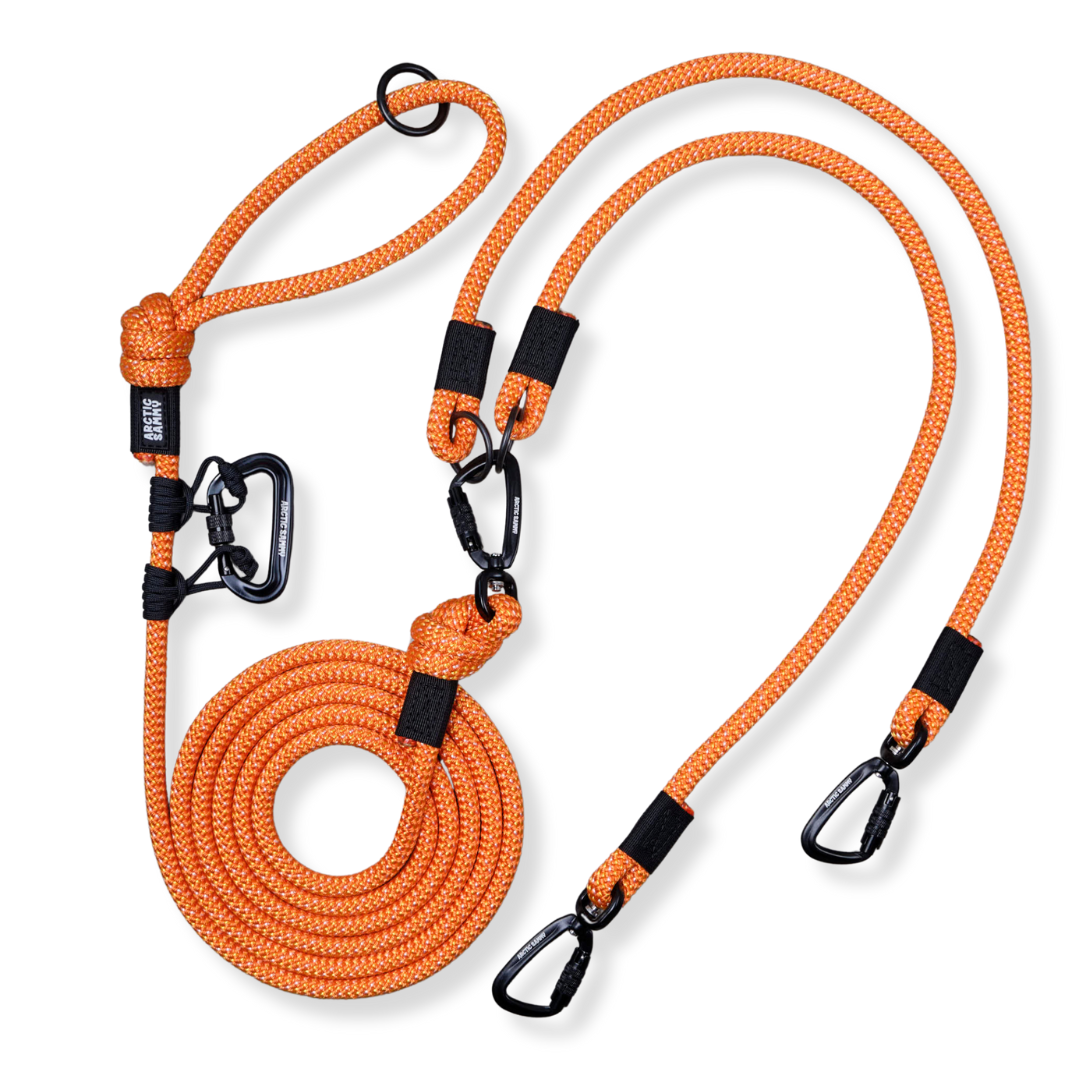 Hawea Handsfree Double Dog Leash | Arctic Sammy