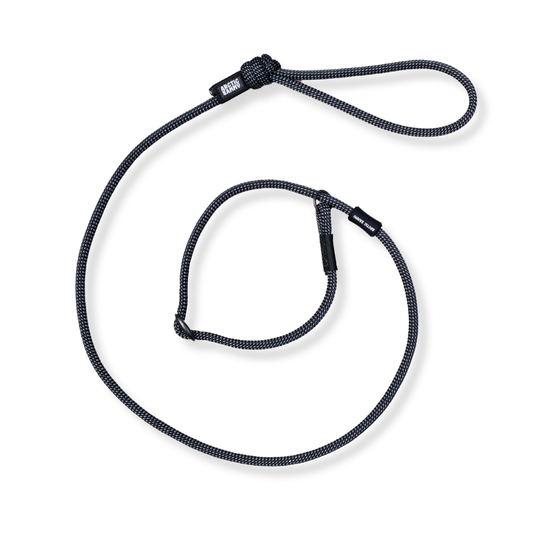 Mackenzie Dog Slip Leash