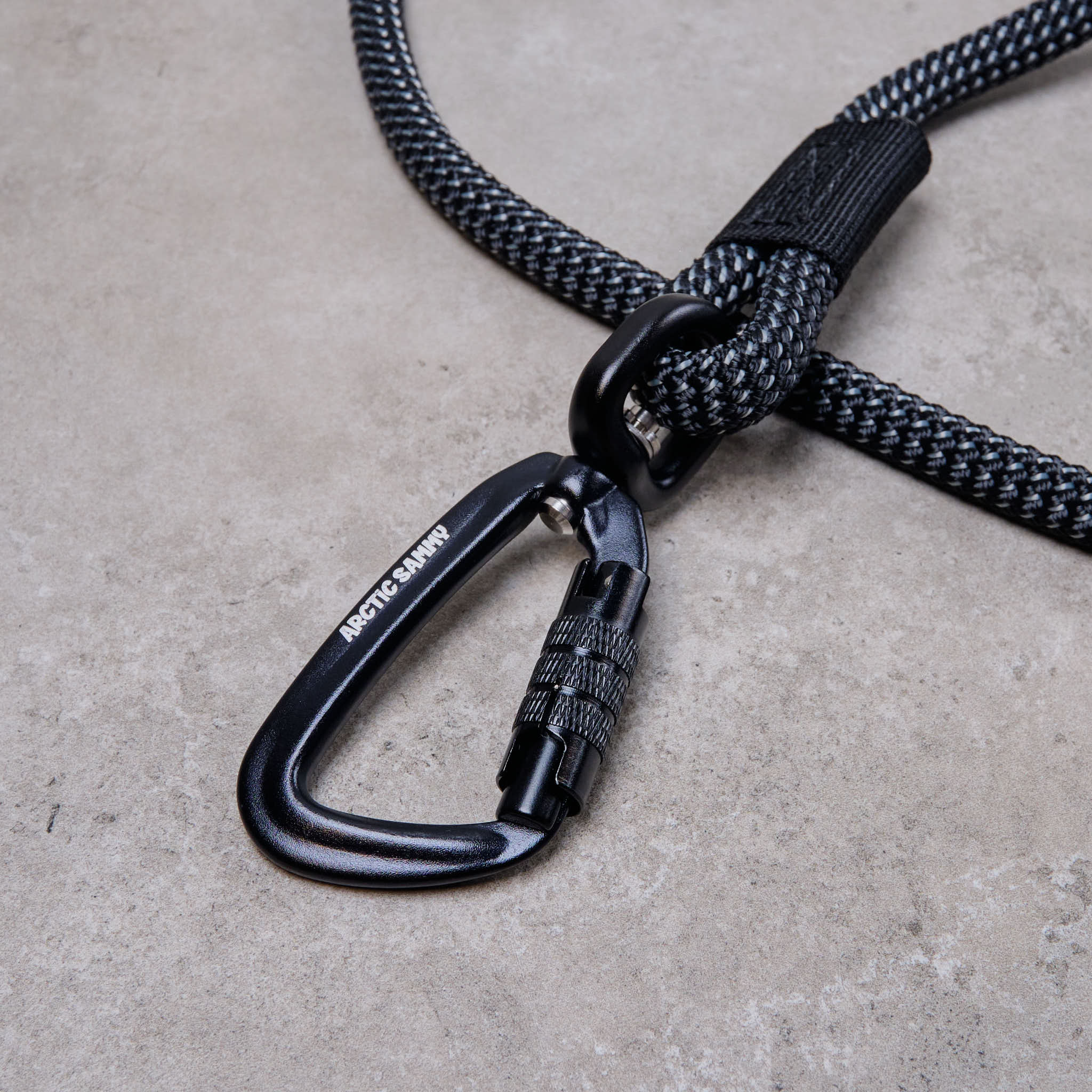 Swivel carabiner dog outlet leash