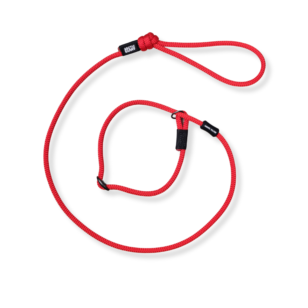 Monowai Dog Slip Leash