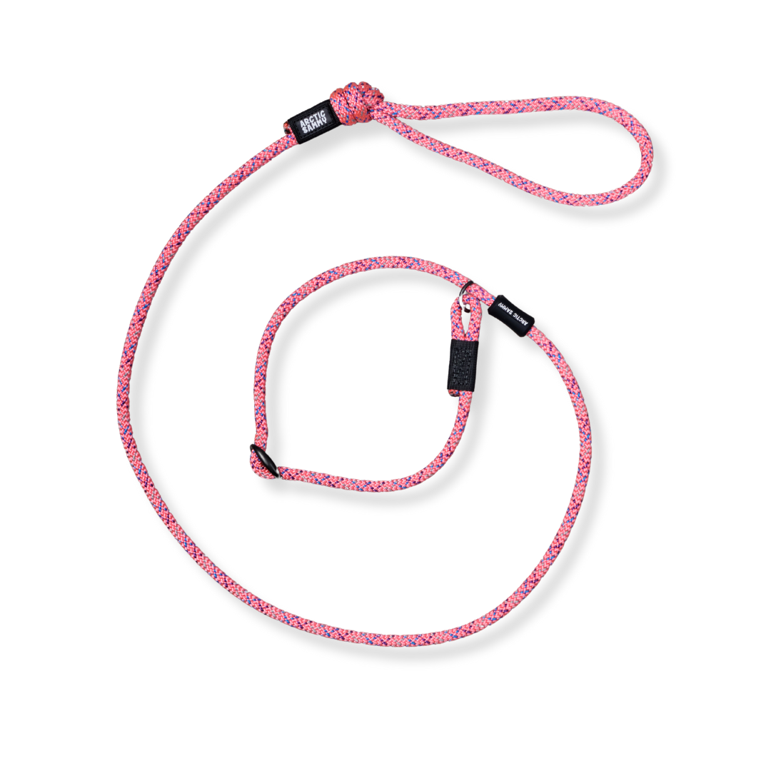 Ohau Dog Slip Leash