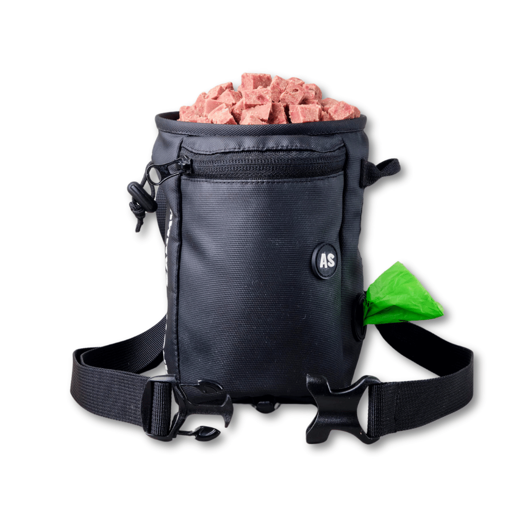 Pro Trainer Dog Treat Pouch