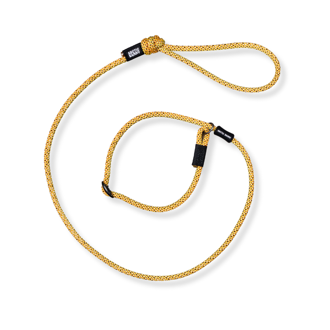 Raglan Dog Slip Leash