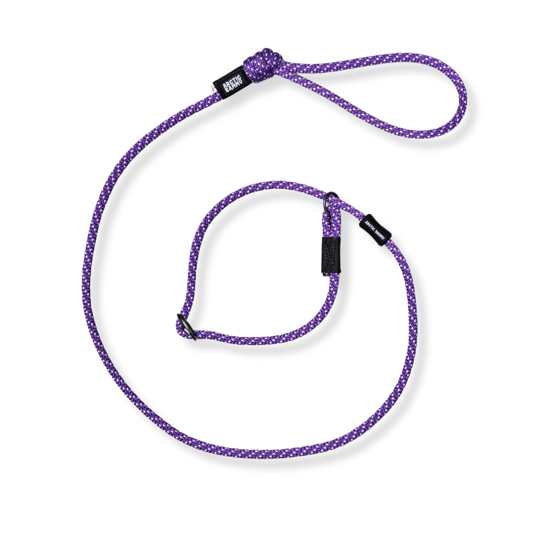 Waihi Dog Slip Leash